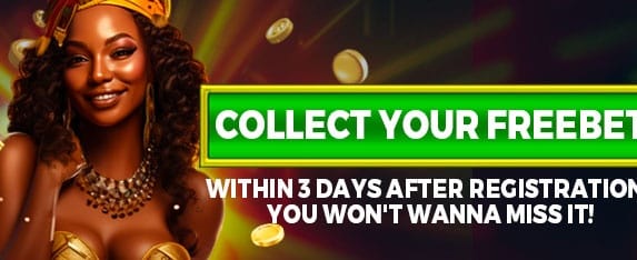 Refer-a-Friend Bonus promotion